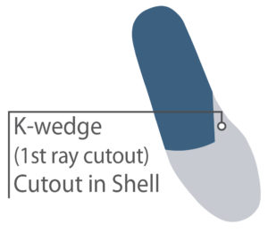 K-Wedge cutout in shell
